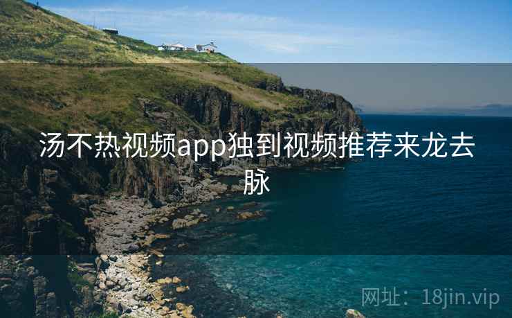汤不热视频app独到视频推荐来龙去脉
